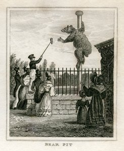 Foso de osos - Zoológico de Regent
