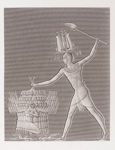 Libro: Descripción de Egipto de Unbekannt