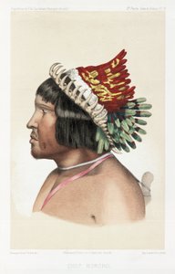 Jefe Bororo, Sudamérica, c. 1843-1847 de Unbekannt
