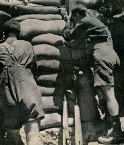 Tropas británicas luchando en pantalones cortos de drill caqui, Península de Gallipoli de Unbekannt