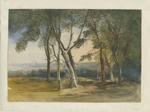 Cannock Chase, 1848 de Unbekannt
