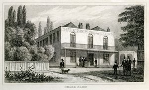 Chalk Farm de Unbekannt