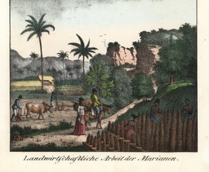 Campesinos chamarros arando un campo y labrando hileras de plantaciones en el archipiélago de las Marianas (EE UU). Ilustración de Viaje alrededor del mundo (1824) de Louis de Freycinet (1779-1842). Litografía para el libro: "Galerie complete en tableaux f de Unbekannter Künstler