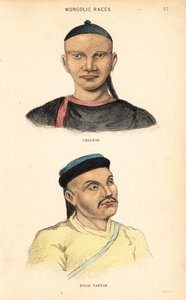 Hombre chino y hombre tártaro de la Horda Nogai. Razas mongolas. Grabado en acero coloreado a mano por Lizars a partir de una ilustración de Charles Hamilton Smith de su Historia Natural de la Especie Humana. de Unbekannter Künstler