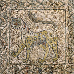Iglesia de San Juan Evangelista, Cuarta Cruzada, Fragmentos de suelos de mosaico que representan una pantera moteada, Rávena, Emilia-Romaña, Italia
