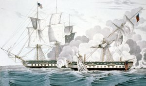 Constitución y Java