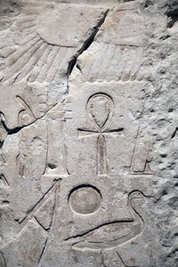Coptos, fragmento de templo de Sesostris 1, Detalle de Unbekannter Künstler