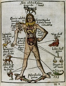 Cosmografía siglo XVI: el hombre zodiacal