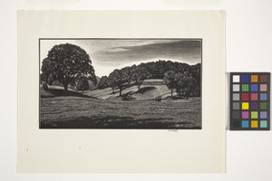 Escena campestre (tinta) de Unbekannter Künstler
