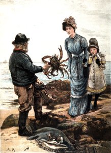 Pesca del cangrejo en la costa inglesa (ilustración) de Unbekannter Künstler