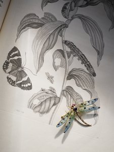 Joyas de insectos y bichos de Deborah Devonshire sobre 