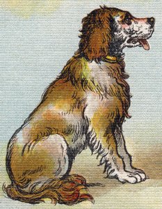 Perro. Grabado en "Alphabet de ma petite fille". Bernardin-Bechet y Fils, libreros-editores, París, alrededor de 1895. Álbum irrompible en lienzo. Bibliothèque des Bébés. 12 páginas. Álbum que contiene un método de lectura y un abecedario ilustrado de Unbekannt