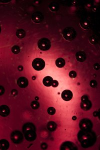 Gotas (fotografía) de Unbekannter Künstler