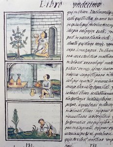 Plantas comestibles, página del Libro XI del Códice Florentino, versión bilingüe en español y náhuatl, Historia General de las Cosas de la Nueva España, por el misionero español Fray Bernardino de Sahagún (1499-1590). Civilización azteca de William M. Timlin