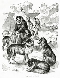 Esquimales y perros. 1902