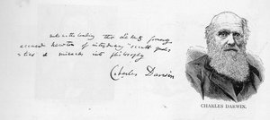 Extracto de una página autógrafa del Capítulo XV, Vol.1 de 