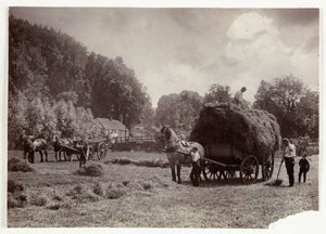 Escenas de agricultura, Cosecha y almacenamiento, Heno pre-1900, c. 1890 de Unbekannt