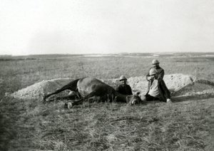 Primera Guerra Mundial 14-18 (1914-1918): tres soldados franceses entierran un caballo muerto - fotografía en placa de vidrio - de Unbekannter Künstler