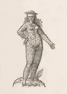Foemina Cinnaminiae gentis de Unbekannt