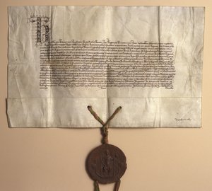 Carta fundacional de la Universidad Carolina de Unbekannt