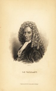 François le Vaillant, autor, explorador, naturalista y ornitólogo francés