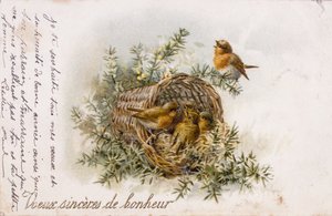Tarjeta de felicitación francesa con elementos de petirrojo y nido de Unbekannter Künstler