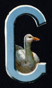 G de Ganso. Escarabajo decoupis sobre el tema de los animales. Grabado. Serie de 26 cromolitografías de gofre de origen inglés. Editor e ilustrador desconocidos. Finales del siglo XIX. de Unbekannt