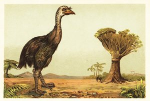 Moa gigante y drago.1908 (litografía) de Unbekannter Künstler