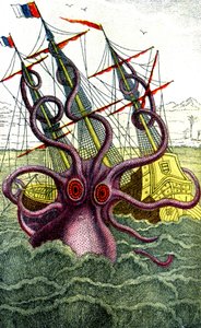 Calamar gigante