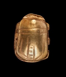 Escarabajo de oro de Unbekannt