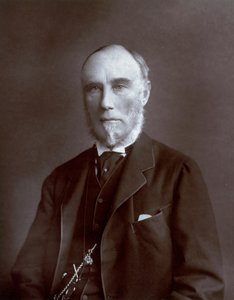 Retrato de medio cuerpo del Virrey de las Indias Thomas Baring Conde de Northbrook de Unbekannter Künstler