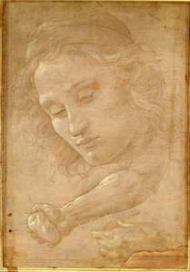 Cabeza de un joven, dibujo de una página de "Libro dei Desegni" de Giorgio Vasari de Unbekannt