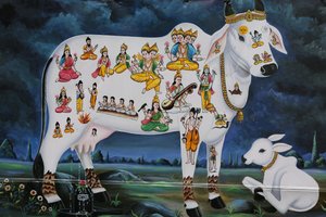 Pintura hindú. Vaca sagrada y ternero, India