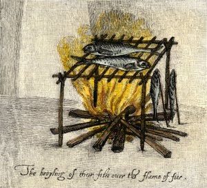 Historia de los pueblos indígenas: Reja de pescado, plato de los indios de América, Colonia de Virginia