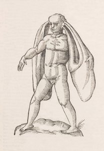 Homo fanesius auritus de Unbekannt