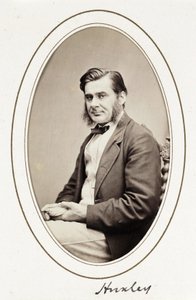 Huxley, c. 1865 de Unbekannt