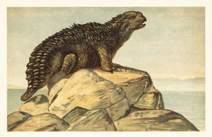 Hylaeosaurus armatus, dinosaurio herbívoro extinto anquilosado1908 (litografía) de Unbekannter Künstler