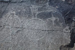 Petroglifos indios - Representación animal y simbólica - Monumento Nacional de Petroglifos - Albuquerque, Nuevo México, EE.UU. (EE.UU.)