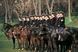 Italia, escuadrón de coraceros a caballo en fila