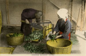 Trabajadores japoneses cortando hojas de morera de Unbekannter Künstler