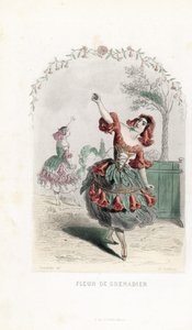 La fee de la fleur de grenade danse - Aguafuerte de Charles Geoffroy (1819-1882), basado en una ilustración de Jean Ignace Isidore Gerard dit J.J.J.Granville (1803-1847), para Les fleurs animees. de Unbekannter Künstler