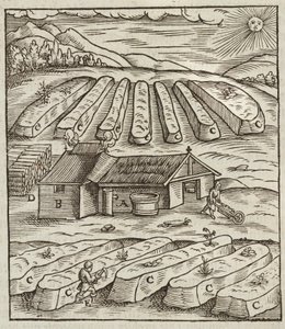 La preparación del salitre - Grabado extraído de Descripción de los minerales y los principales métodos de explotación minera, de Lazarus Ecker de Unbekannt