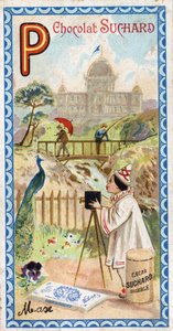 Letra P: palacio, pabellón, paraguas, fotógrafo, puente, pesca, pavo real, pensamiento. Grabado del Alfabeto editado por Chocolat Suchard, principios del siglo XX. 24 cromolitografías que representan lugares, personajes y objetos para descubrir en la image