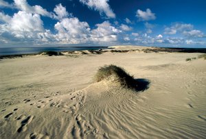 Lituania, Klaipeda, Istmo de Curlandia, Nida, dunas de arena móviles llamadas Sahara Prusiano