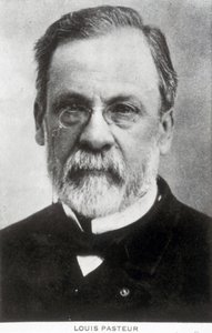 Louis Pasteur, químico y microbiólogo francés, c 1885