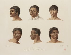 Tatuajes maoríes