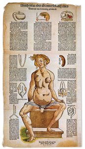 Medicina: tabla anatómica que describe la anatomía femenina a partir de un tratado médico renacentista. Alrededor de la figura de una mujer sentada se enumeran e ilustran órganos vitales como el hígado, los pulmones y el diafragma, el estómago y el aparato de Unbekannter Künstler