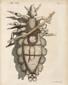 Microscopía