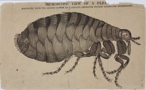 Microscopía