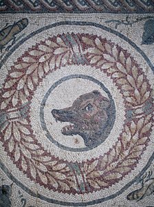Mosaico del peristilo. (detalle) cabeza de oso. Siglo III - IV. Villa Romana del Casale, Sicilia. Sitio UNESCO. de William M. Timlin